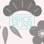 priceplan (4)